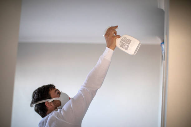 Best Attic Mold Removal  in Cherry Hills Village, CO